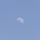 로데오스타 이미지