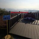 동양스카이워터 | [강화 가볼만 한곳] 무조건 여기 &#34;강화루지&#34; 실제 후기 + 대기시간 없이 즐기는 꿀팁!