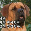 헐
