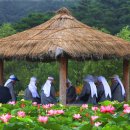 전국환경 이미지