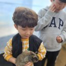 승재농장 Daum카페