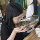 용천막국수 티스토리