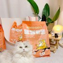 황금고양이 | 고양이 카사바 모래 장점 단점 벤토나이트 혼합 황금비율 모를 때 추천