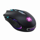 G40 이미지