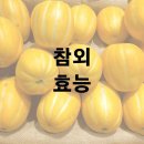 참외 효능 및 효과 보관법 이미지