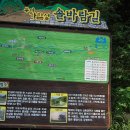 성흥산 솔바람길 이미지