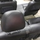 트라제1 이미지