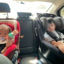 목재문화체험장 2층 | 돌 아기와 함께한 포항 여행 후기🌊 (영덕 목재문화체험장&amp;카페 오딘)