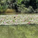 전원락농장 이미지