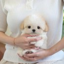 연제구-045 이미지