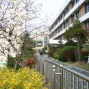 서울성서초등학교 이미지