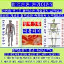 마늘 ==＞ 화학산책 / 독특한 향을 가진 항균물질 마늘 이미지