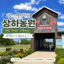 상하 | 고창여행 | 상하농원 갔다가 시간 순삭 당한 후기