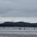 몽산포 휴림 이미지