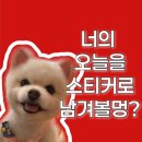 Y ZONE 빌딩 | 경상대 놀거리 추천 | 반려견도 같이 찍는 스티커사진 스티커즈 후기