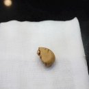 24시 웰니스 동물 의료센터 이미지