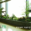 대한조경 이미지