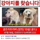 남성건강원 - 고창군 학천로 4 | 남성건강원