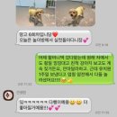 견생원 | 분당 근처 / 경기 광주 강아지유치원, 견생원 ✨ 내돈내산 1년 후기✨
