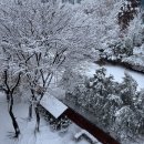 2024. 12 월간 일기