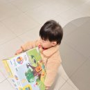 플레이모빌 1.2.3 71316 푸와 피글렛의 나무집, 테이크어롱 6765 노아의 방주 후기