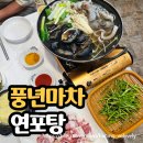 실내마차 | 여수 현지인 맛집 풍년마차 – 풍년실내마차 연포탕 내돈내산 먹방 후기