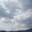 진도