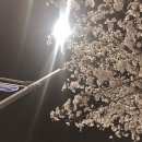 박지훈수학학원 | 사랑과 아름다움 그 사이