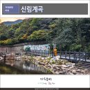 관악산 신림 계곡 길 시즌이 끝난 후 방문 후기