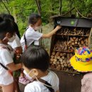 대가초등학교, 대가초교(병설유치원) 이미지