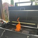 디나우스 이미지