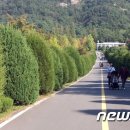 전남산림문화연구소 이미지