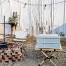 아우내민박 이미지