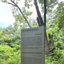 너와집쉼터 화장실 | 나리분지 데이트 스팟 꽃섬 힐링이 있는 가볼만한 야생화 정원