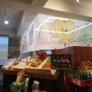 고사리 바이 배드캐럿 이미지