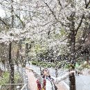 대구앞산 케이블카 타고 B조 이미지