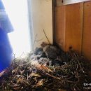 일월농장 이미지