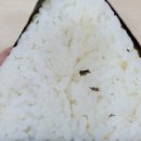 지에스25 속초럭키 이미지