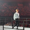 혜성약국 | 3월의 꽃말은 개막이야...