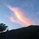 한가한 오후 이미지