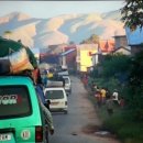 나무가 들려주는 환경이야기 이미지