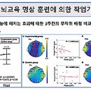 브레인피트니스 이미지