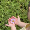 내친구어린이집 이미지