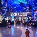 경기도 아기랑 갈만한 곳(인천도)