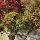 엠마누엘어린이집 이미지