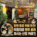 창의의 숲 | 창원 동읍 카페 추천 산마루카페,아이랑 함께,원두 선택 가능한 커피와 숲속 산장 감성