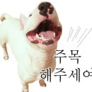 주야진