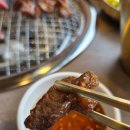 100 | 김해 장유 소갈비살 맛집 무등소갈비 갈비살 차돌박이 김해장유점 100% 내돈내산 후기