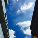 오곡파출소 | 2박3일 여행[여수, 보성, 순천] 1일차ㅡ이순신 오곡흑미쌀짜장, 여수 국가대표 패러글라이딩, 벨루가...