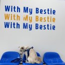 위드마이베스티 이미지